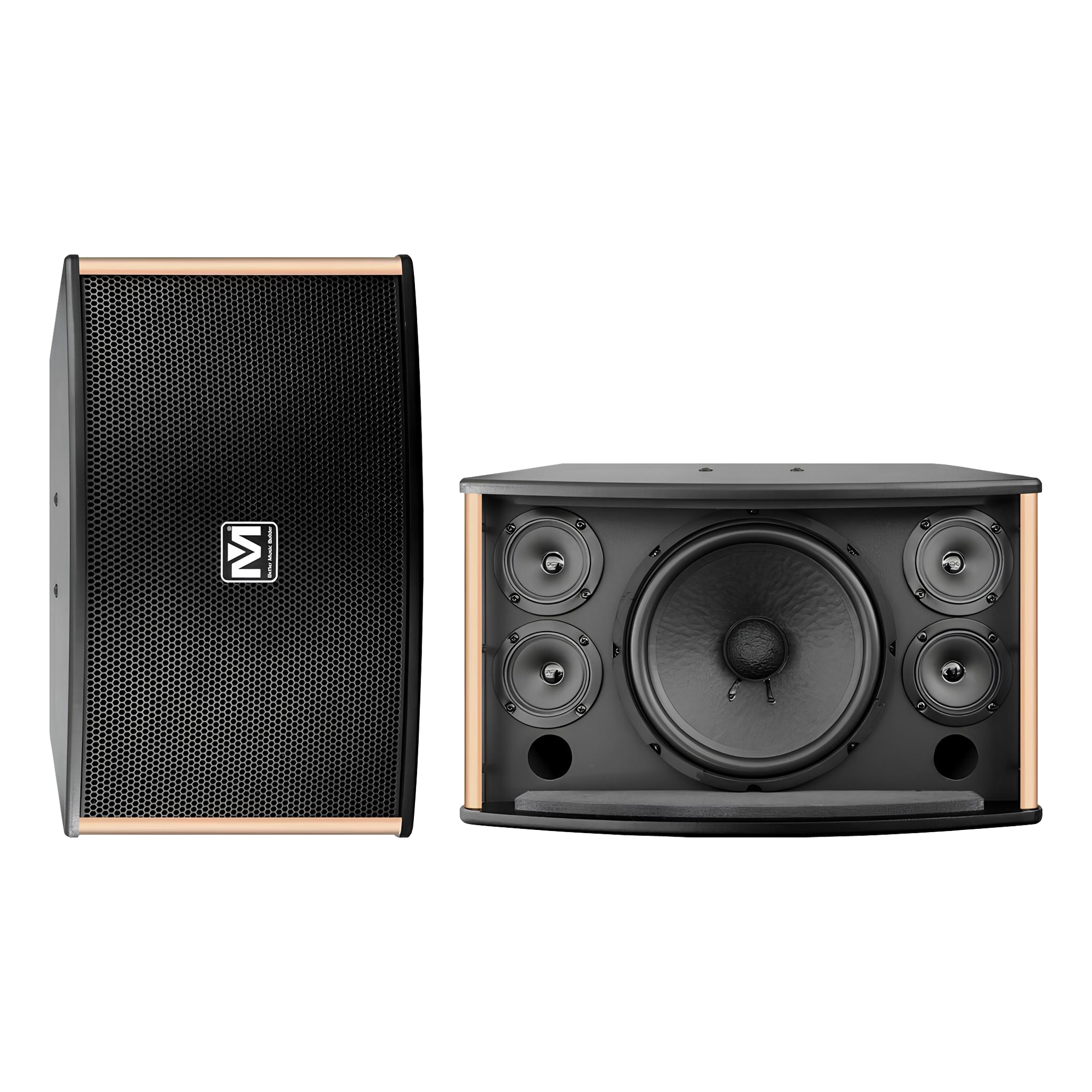 Passive Speakers