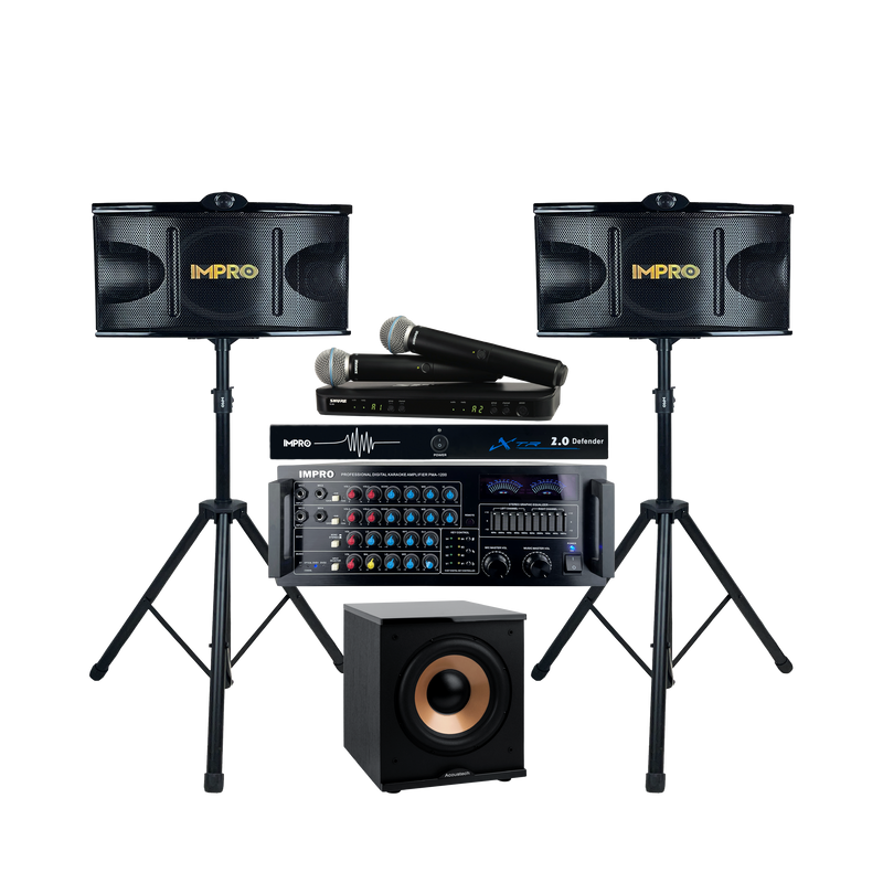 Platinum Voice Karaoke Package