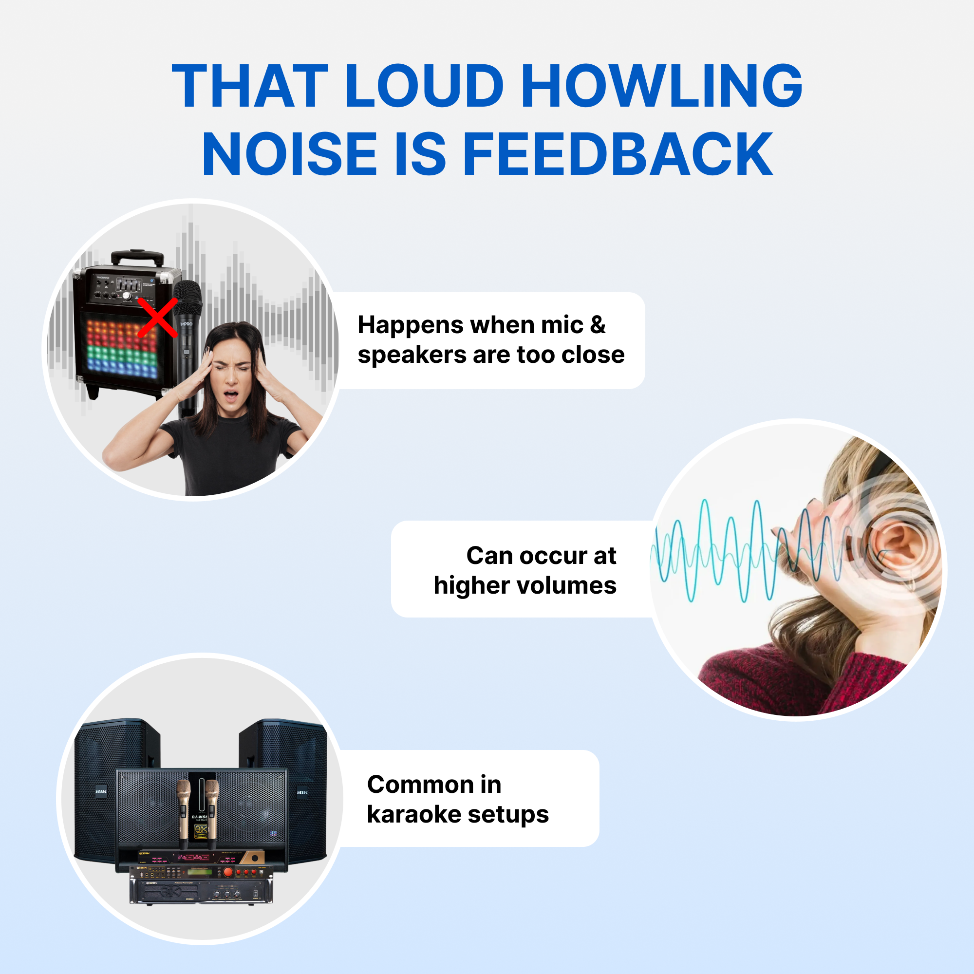 ImPro DFN-800 Defender Feedback Reducer