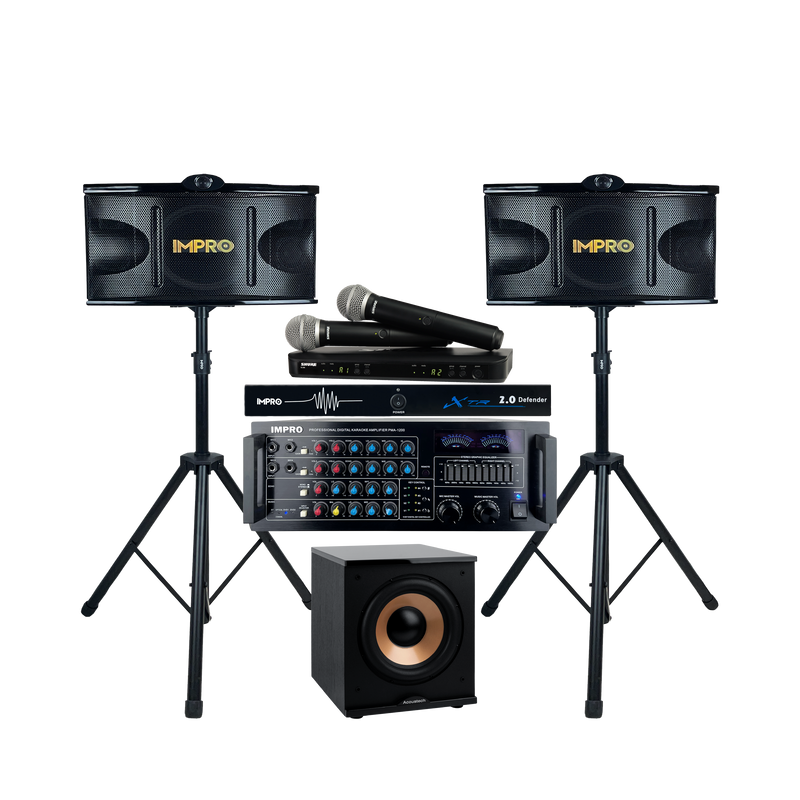 Platinum Voice Karaoke Package