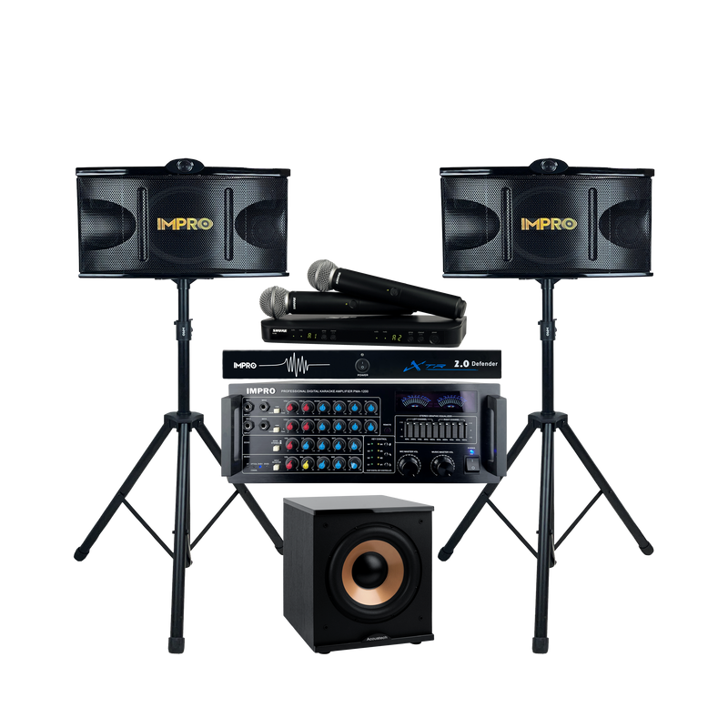 Platinum Voice Karaoke Package