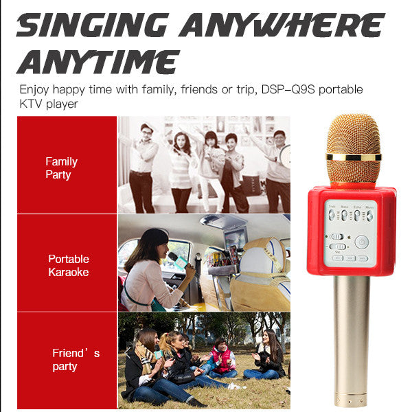 WBMic DSP