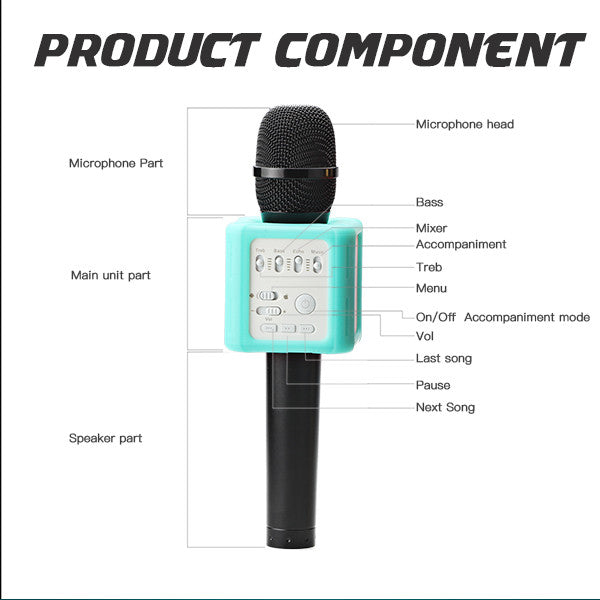 WBMic DSP