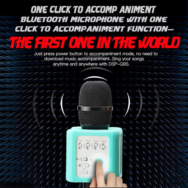 WBMic DSP