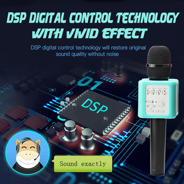 WBMic DSP