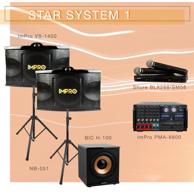 Star System 1 Karaoke Package with ImPro Speakers with Stands, Mixing Amplifier, and Shure Microphones